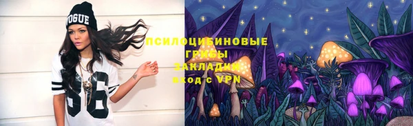 амф Абдулино