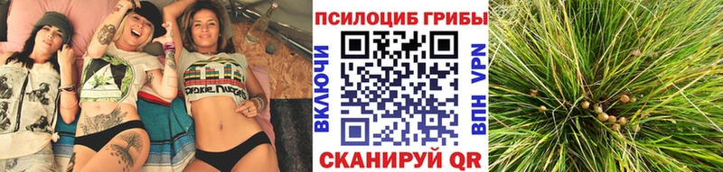 где можно купить наркотик  Нягань  Галлюциногенные грибы мухоморы 