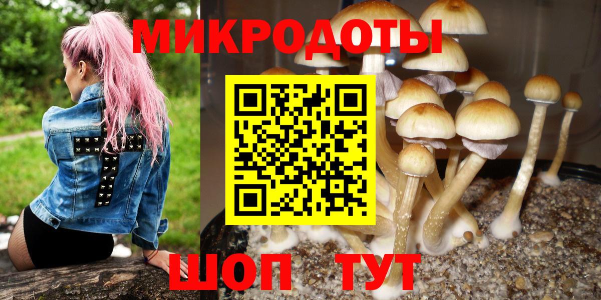 что такое   Вход с VPN  Нягань  Галлюциногенные грибы Psilocybe 